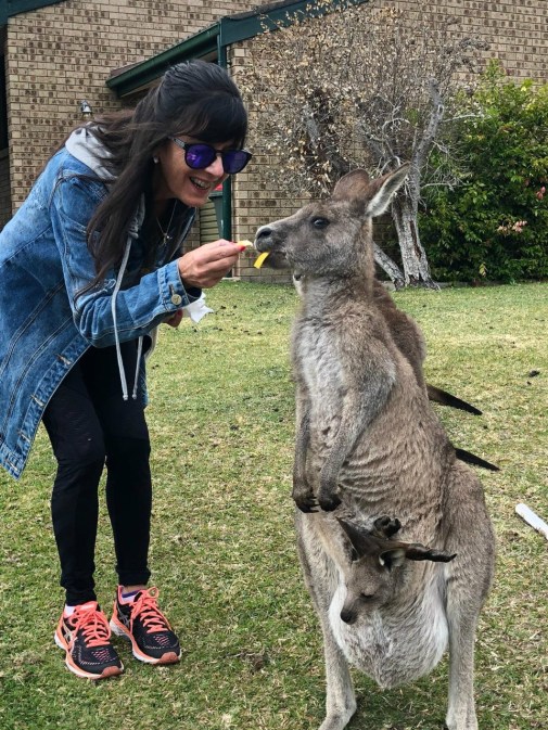 austrália - cangurus