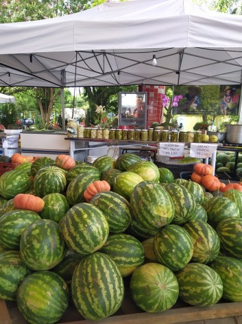 Festada melancia Parobé 2020 - Acervo Drops (1)