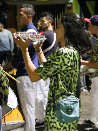 Carnaval São Chico 2020 (1)